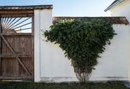 "Zauberhafter Dreikanthof mit großem Gartenparadies bei Tulln"