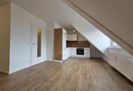 *Erstbezug nach Sanierung* - sonnige 1-Zimmer Wohnung mit unverbaubarem Blick