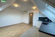 Klimatisierte Dachgeschoss-Wohnung mit Ausblick zur Donau! 5 Minuten zu U6 und S-Bahn Handelskai!