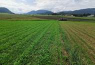 Landwirtschaft 11 ha, mit Hofstelle, Wald und Wiese