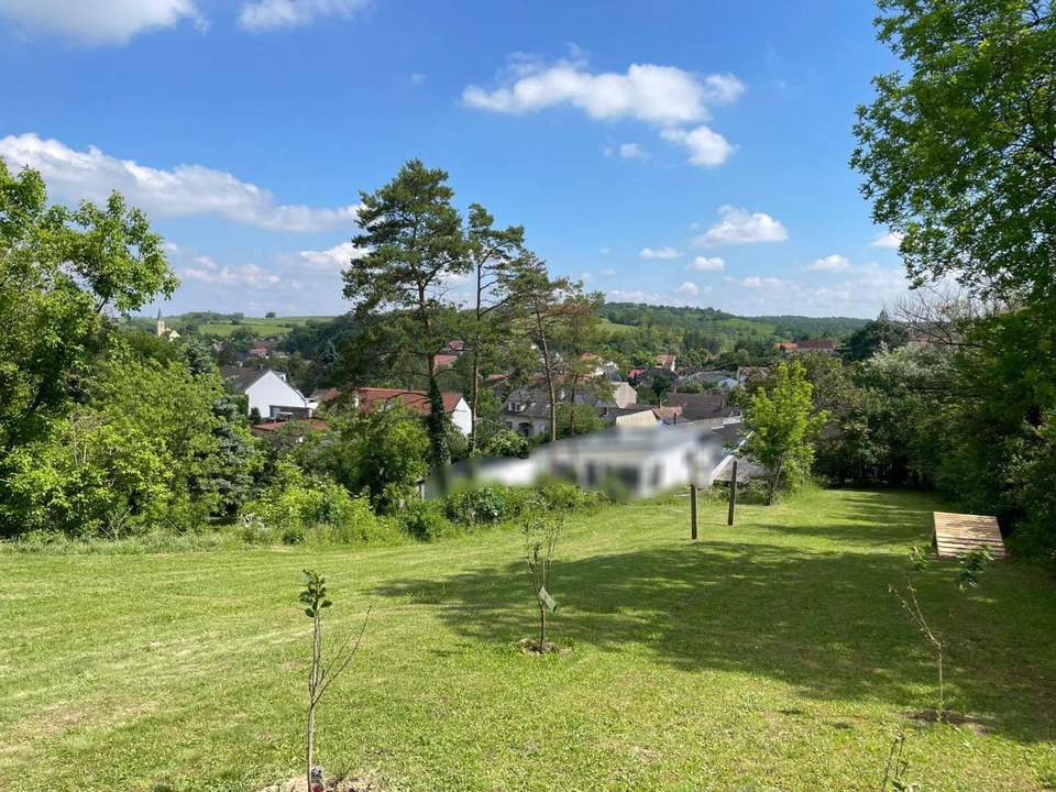 EINZIGARTIGE GELEGENHEIT! BAUERNHOF MIT 9789 m² LANDWIRTSCHAFT & 2421 m² WEINGARTEN! FÜR NATURFREUNDE & TIERLIEBHABER!
