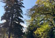 Parkähnliches Baugrundstück in historischer Villenlage Baden bei Wien (Provisionsfrei)