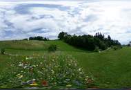 "Luxus,Land,Liebe,Linz-Exklusive Villa mit Erdwärme, Gartenresidenz und unverbaubarem Grünblick!"