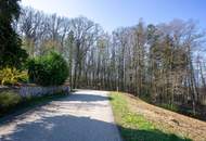 Baugrund am Ende der Sackgasse – Natur & perfekte Nähe zu Wien!