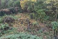 Großes Grundstück mit Entwicklungspotenzial in Krems an der Donau!