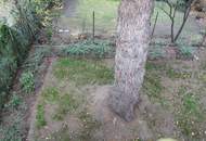 Einfamilienhaus im Innenhof – sanierungsbedürftiges Haus in ruhiger Lage des 21. Bezirks