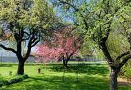 Großzügig geschnittenes Haus mit vielfältigem Obstgarten | 2 Grundstücke, 6 Zimmer, 4 PKW-Stellplätze | Naturteich, Terrasse | Am Naherholungsgebiet Zayawiesen