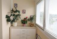 "Logenplatz auf Krems"