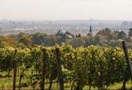"Luxuswohnung in Bestlage des 19. Bezirks-über den Weinbergen"