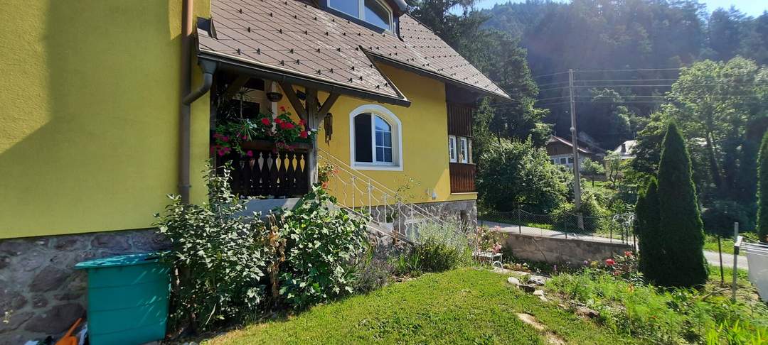 Ehemalige Pension mit Potential - B&amp;B, Seminarzentrum, Altersresidenz - vieles ist möglich - inkl 3000m² Baugrund !