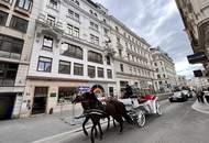 360° TOUR // KLASSISCHES ALTBAUBÜRO NAHE ALBERTINA