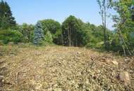 "Baugrund in bester Lage"