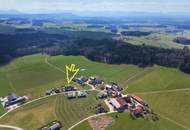 Attraktives Mehrfamilienhaus mit großem Grundstück und Schwimmteich in Feldkirchen bei Mattighofen