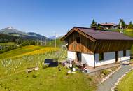 Sonniges Häuschen mit Weinstöcken in Südhanglage