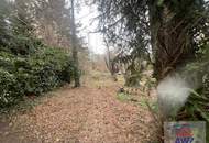 Haushälfte mit einer Wohnung für geschickte Heimwerker und einen schönen Garten in Langenzersdorf!