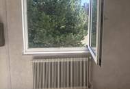 Ideale Wohnung für Menschen mit Platzbedarf