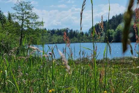 Liebhaberobjekt am traumhaften Saissersee, Haus-kauf, 495.000,€, 9220 Villach Land