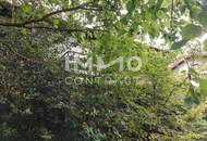 Kleines Ferienhaus in ruhiger Flachhanglage auf 1.165m² Baugrund!