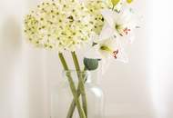 Dieses Grundstück ist kein bloßes Stück Land – es ist eine Einladung, Zukunft zu gestalten.