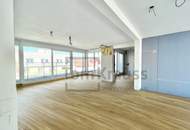 GOLDENER SCHWAN | LUXUS - LOFT- PENTHOUSE - MIT POOL - SKYLINE UND WASSERBLICK