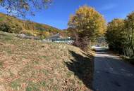 Wunderschönes parzellierbares Baugrundstück in Frohnleiten mit ca. 2.211m²