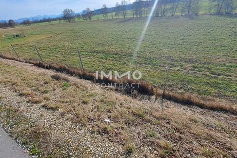 Schöne landwirtschaftliche Flächen in Neukirchen bei Lambach im Ausmaß von ca. 16.400 m², Grund und Boden-kauf, 254.000,€, 4671 Wels-Land