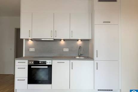 Schöne 2 Zimmer Terrassenwohnung mit Terrasse in Ottakring, Wohnung-miete, 979,99,€, 1160 Wien 16., Ottakring