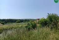 Uriges Unikat - Presshaus mit Weinkeller unweit von Krems