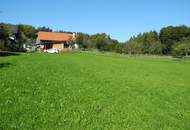 Hübsche, landwirtschaftliche Wiese mit kleinem Wald - KEIN Baugrund !!!