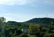 Luxuriöse, geräumige Wohnung mit Blick auf die Weinberge