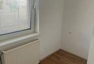 SANIERT: Kleinhaus mit Dachboden auf großem Grundstück in ruhiger Gegend