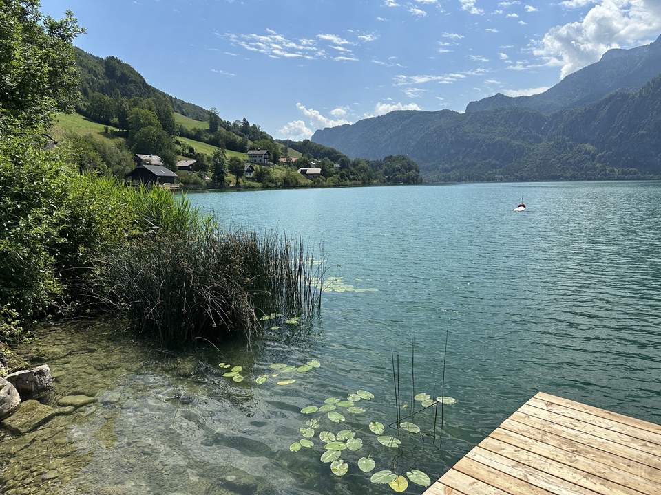 Ihre Traumwohnung im Naturparadies| südseitiger Garten mit großer Terrasse | bezugsbereit!