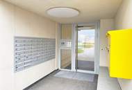 NEUBAU I Schöne 2 Zimmerwohnung mit Balkon | Einbauküche I 1.Dachgeschoss mit Lift | Walter-Jurmann-Gasse | ab 1. Juli 2026