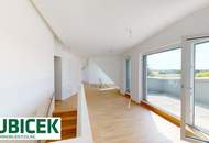 Mit dem Penthouse - Lift heimfahren ...