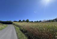 Grundstücke in Kronnersdorf mit 976m² Bauland zu verkaufen