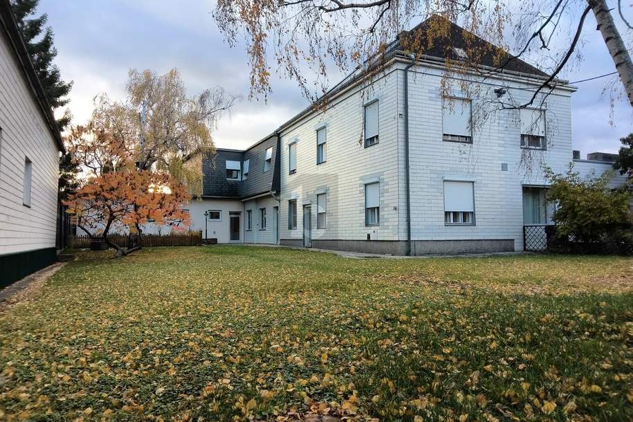 VORTEILHAFTE KOMBINATION AUS EXTRA VIEL FLÄCHE UND GEWERBLICHER NUTZUNG, Haus-kauf, 390.000,€, 2145 Mistelbach