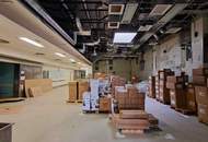 Lager-, Labor und Bürofläche zu Mieten 21. Bezirk