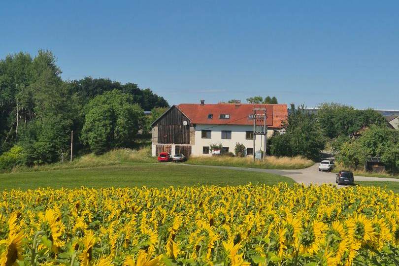 Ein- oder Mehrfamilienhaus samt Nebengebäuden im Bauland-Betriebsgebiet, Haus-kauf, 187.000,€, 3542 Krems(Land)