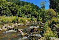 Natur, Wasser & Potenzial – Ehemalige FISCHZUCHT in ruhiger Alleinlage
