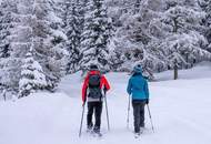 Hochwertigste Bergchalets auf der Hochrindl - Naturgenuss mit Panoramablick! Sofort beziehbar! Ski-Lift Nähe!