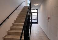 Kompakt aufgeteilte 65 m2 Dachwohnung (3 Zimmer) mit herrlicher 28,28 m²Terrasse (TOP 206)