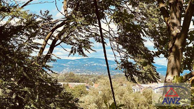 Altbaujuwel mit besonderem Charme, großem Grundstück und mit toller Aussicht!