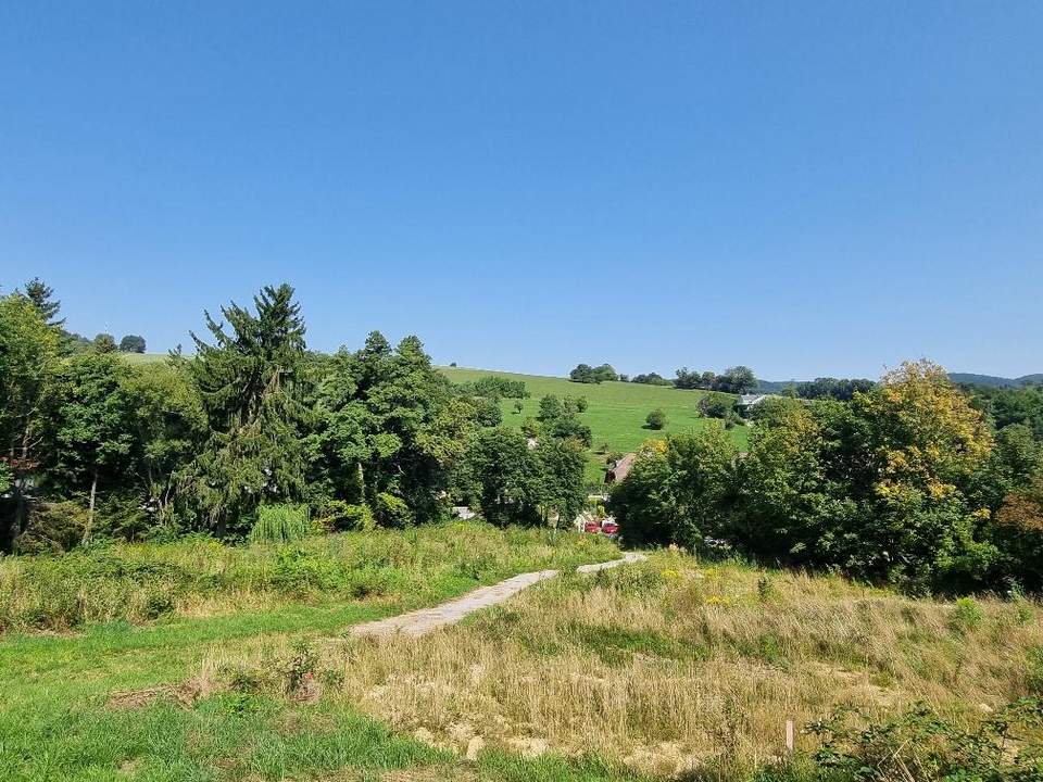 BAUGRUNDSTÜCKE - NEUPARZELLIERUNG IN SCHÖNER RUHELAGE