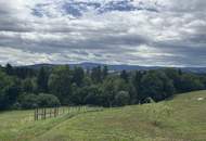 Große Landwirtschaft mit Wiesen und kleineren Wäldern welche zur Zeit als Wildtiergehege genutzt wird, Quadratmeterpreis 2,40 Euro