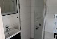 Kleine, feine Mietwohnung mit Traunsteinblick