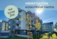 1 Monat Mietzinsfrei: Erstbezug im Grünen Nahe der U2 - zwischen Badeteich Hirschstetten & Seestadt