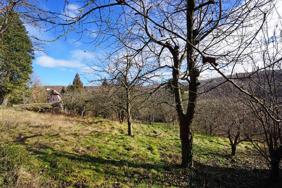 Grundstück mit Panoramablick an der Wiener Stadtgrenze, Grund und Boden-kauf, 560.000,€, 3001 Sankt Pölten(Land)