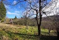Grundstück mit Panoramablick an der Wiener Stadtgrenze