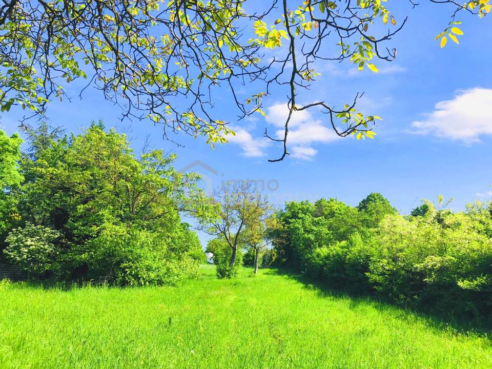 Baugrund 1 in Höhenlage am Naturschutzgebiet