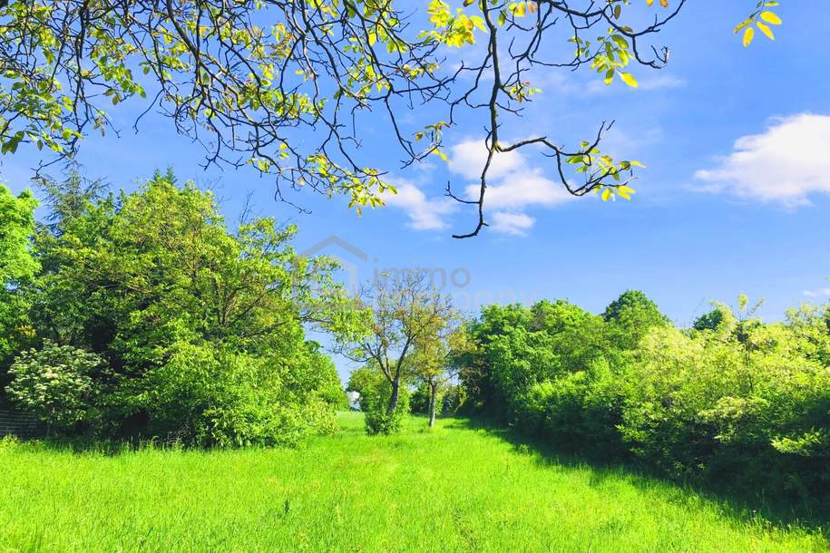 Baugrund 1 in Höhenlage am Naturschutzgebiet, Grund und Boden-kauf, 164.000,€, 7091 Eisenstadt-Umgebung